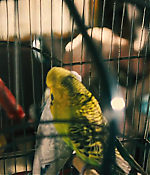 Filename=00148.jpg
Filesize=711KiB
Dimensions=1920x800
Date added=Aug 06, 2021 00148.jpg