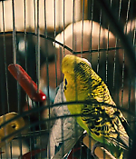 Filename=00149.jpg
Filesize=797KiB
Dimensions=1920x800
Date added=Aug 06, 2021 00149.jpg