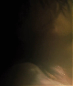 Filename=00189.jpg
Filesize=273KiB
Dimensions=1920x800
Date added=Aug 06, 2021 00189.jpg