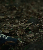 Filename=01427.jpg
Filesize=408KiB
Dimensions=1280x688
Date added=Aug 06, 2021 01427.jpg