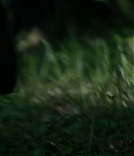 Filename=01775.jpg
Filesize=314KiB
Dimensions=1280x688
Date added=Aug 06, 2021 01775.jpg