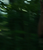 Filename=01787.jpg
Filesize=334KiB
Dimensions=1280x688
Date added=Aug 06, 2021 01787.jpg