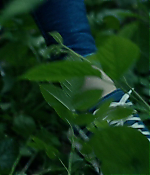 Filename=01855.jpg
Filesize=416KiB
Dimensions=1280x688
Date added=Aug 06, 2021 01855.jpg