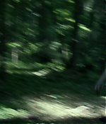 Filename=01881.jpg
Filesize=373KiB
Dimensions=1280x688
Date added=Aug 06, 2021 01881.jpg