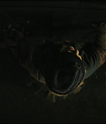 Filename=00719.jpg
Filesize=321KiB
Dimensions=1920x808
Date added=Aug 11, 2021 00719.jpg