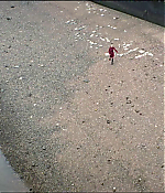 Filename=vlcsnap-02004.jpg
Filesize=480KiB
Dimensions=1280x544
Date added=Jun 16, 2018 vlcsnap-02004.jpg