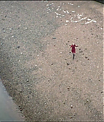 Filename=vlcsnap-02011.jpg
Filesize=450KiB
Dimensions=1280x544
Date added=Jun 16, 2018 vlcsnap-02011.jpg