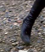 Filename=vlcsnap-02037.jpg
Filesize=439KiB
Dimensions=1280x544
Date added=Jun 16, 2018 vlcsnap-02037.jpg