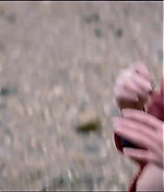 Filename=vlcsnap-02073.jpg
Filesize=289KiB
Dimensions=1280x544
Date added=Jun 16, 2018 vlcsnap-02073.jpg