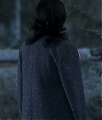 Filename=00106.jpg
Filesize=154KiB
Dimensions=720x416
Date added=Aug 07, 2021 00106.jpg