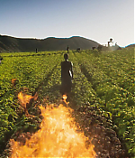 Filename=00076.jpg
Filesize=911KiB
Dimensions=1920x1080
Date added=Aug 08, 2021 00076.jpg