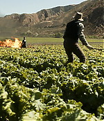 Filename=00077.jpg
Filesize=704KiB
Dimensions=1920x1080
Date added=Aug 08, 2021 00077.jpg