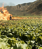 Filename=00078.jpg
Filesize=704KiB
Dimensions=1920x1080
Date added=Aug 08, 2021 00078.jpg