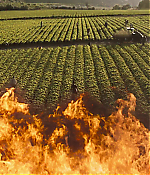 Filename=00084.jpg
Filesize=727KiB
Dimensions=1920x1080
Date added=Aug 08, 2021 00084.jpg