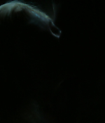 Filename=00492.jpg
Filesize=313KiB
Dimensions=1920x1080
Date added=Aug 08, 2021 00492.jpg