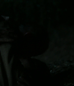 Filename=00496.jpg
Filesize=334KiB
Dimensions=1920x1080
Date added=Aug 08, 2021 00496.jpg