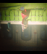 Filename=00597.jpg
Filesize=932KiB
Dimensions=1920x1080
Date added=Aug 06, 2021 00597.jpg