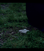 Filename=00441.jpg
Filesize=756KiB
Dimensions=1920x1080
Date added=Aug 06, 2021 00441.jpg