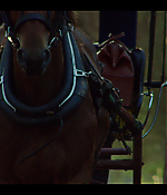 Filename=00476.jpg
Filesize=1269KiB
Dimensions=1920x1080
Date added=Aug 06, 2021 00476.jpg