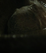 Filename=00441.jpg
Filesize=192KiB
Dimensions=853x480
Date added=Aug 06, 2021 00441.jpg