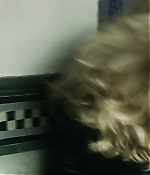 Filename=00880.jpg
Filesize=195KiB
Dimensions=853x480
Date added=Aug 07, 2021 00880.jpg