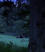 Filename=00290.jpg
Filesize=951KiB
Dimensions=1918x1080
Date added=Aug 07, 2021 00290.jpg