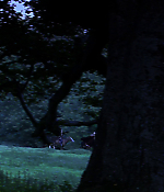 Filename=00292.jpg
Filesize=773KiB
Dimensions=1918x1080
Date added=Aug 07, 2021 00292.jpg