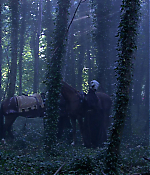 Filename=00308.jpg
Filesize=1143KiB
Dimensions=1918x1080
Date added=Aug 07, 2021 00308.jpg