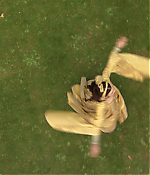 Filename=00806.jpg
Filesize=997KiB
Dimensions=1916x1080
Date added=Aug 07, 2021 00806.jpg