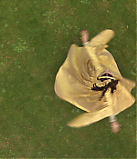 Filename=00808.jpg
Filesize=1062KiB
Dimensions=1916x1080
Date added=Aug 07, 2021 00808.jpg