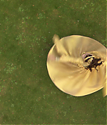 Filename=00810.jpg
Filesize=1002KiB
Dimensions=1916x1080
Date added=Aug 07, 2021 00810.jpg