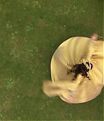 Filename=00811.jpg
Filesize=1018KiB
Dimensions=1916x1080
Date added=Aug 07, 2021 00811.jpg